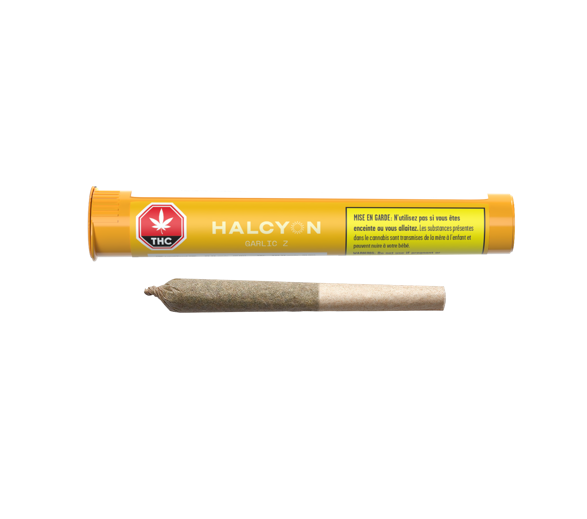 Garlic Z Pre-Roll - Garlic Z 1 x 0.5G